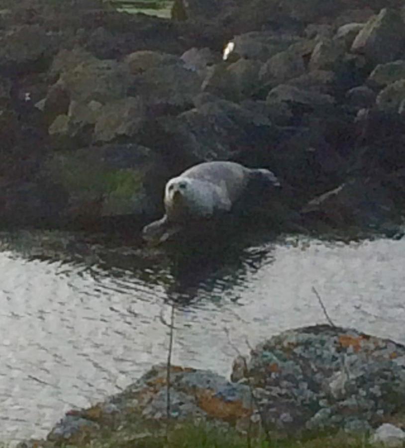Burnside Lodge Portnahaven Luaran gambar