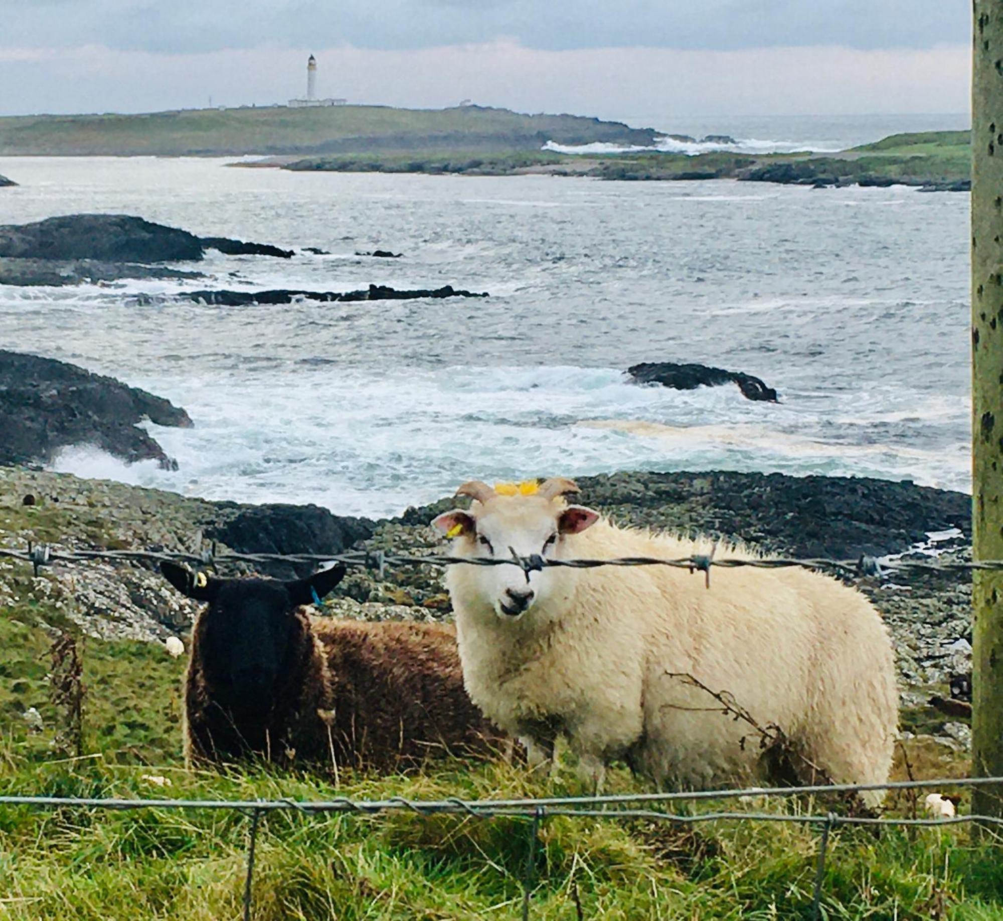 Burnside Lodge Portnahaven Luaran gambar