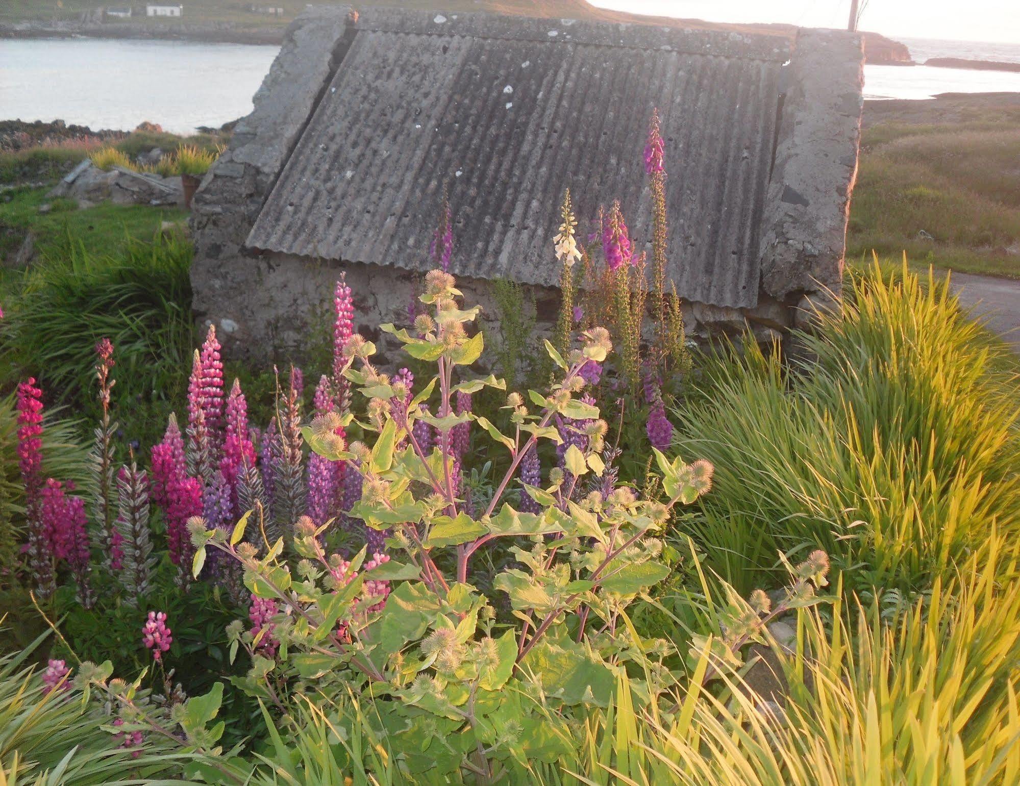 Burnside Lodge Portnahaven Luaran gambar